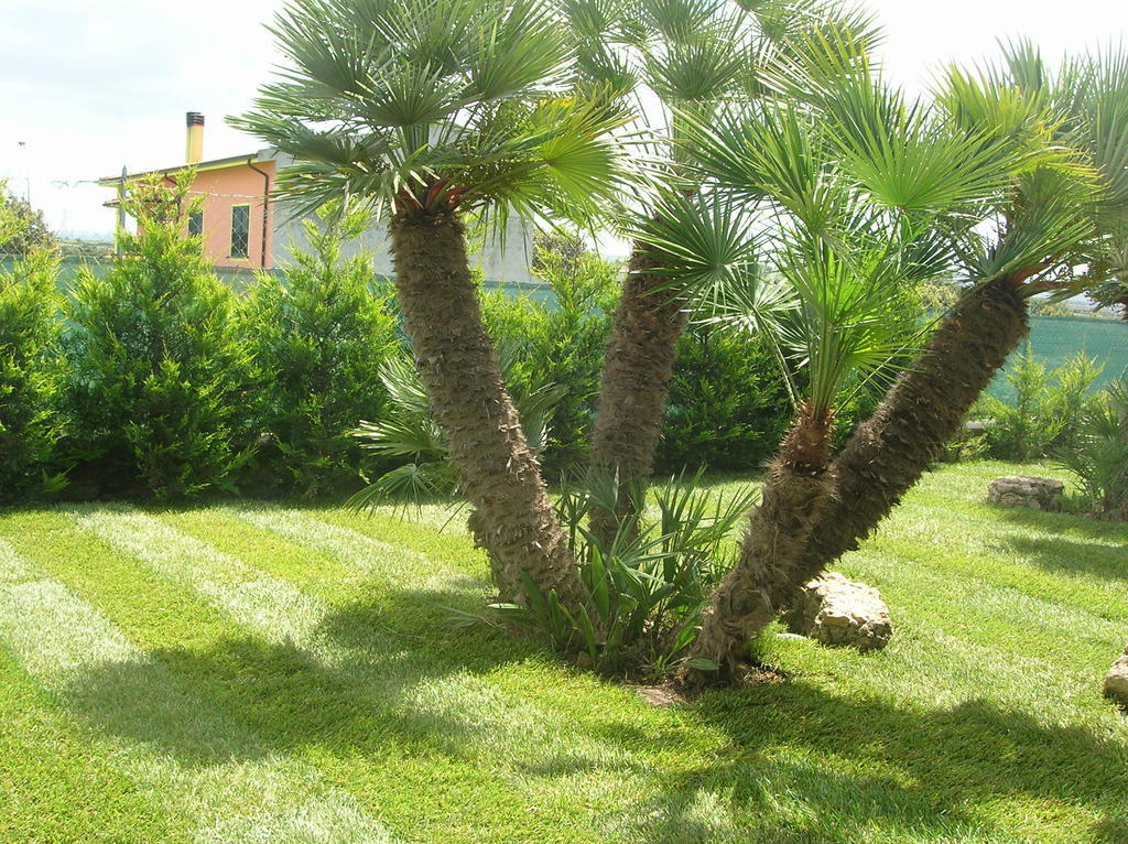 B&B S'Ena Suni Exterior foto